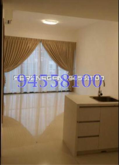 D'Leedon (D10), Condominium #105911202